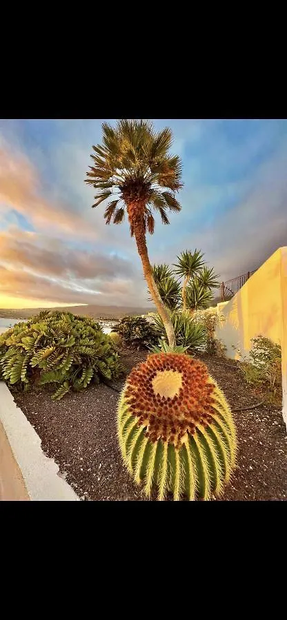 Apartamento El Paraiso Costa Adeje  Spain